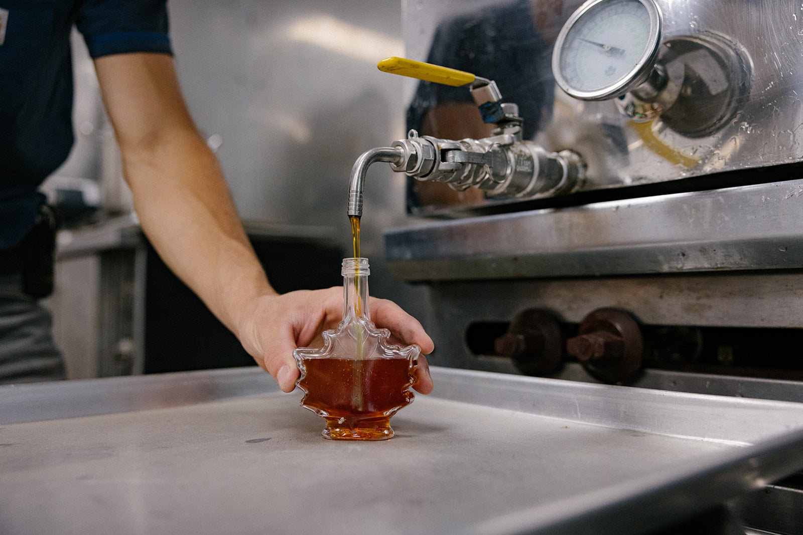 Mountain State Maple